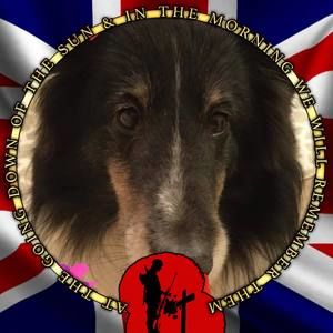 Meet your Posher, Carol-ann